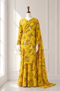 Elegant 2 in 1 Frock Saree